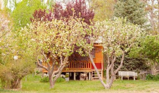 Hosteria La Farfalla Чос-Малаль Экстерьер фото